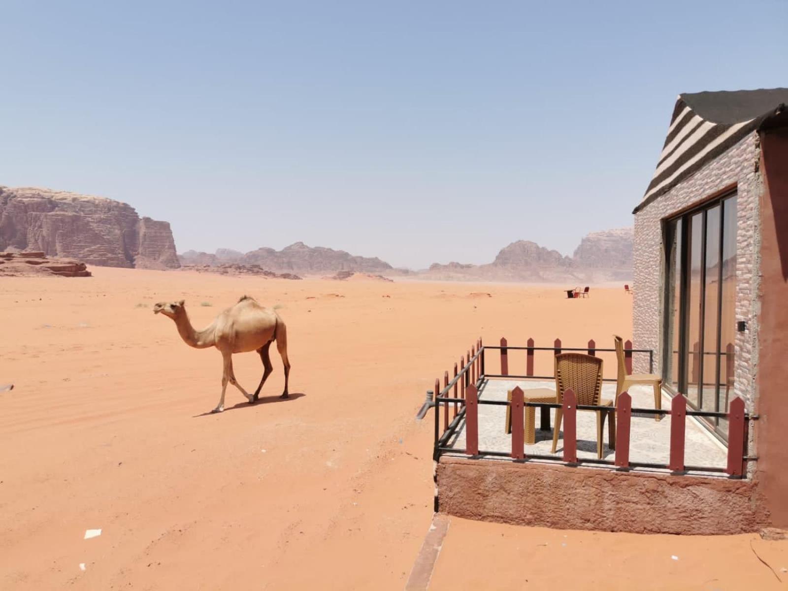 Magic Bedouin Star Resort Wadi Rum