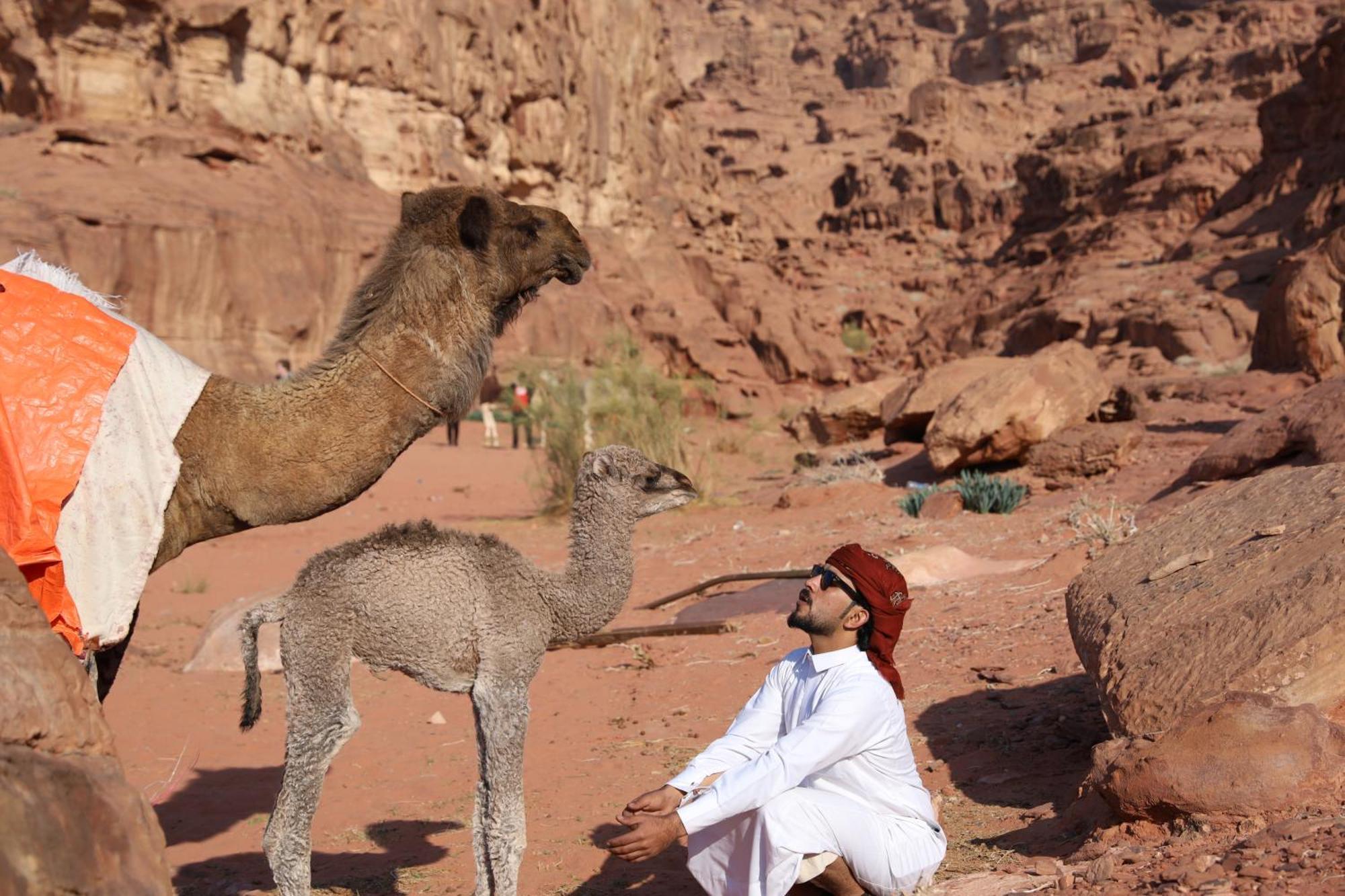 Magic Bedouin Star *